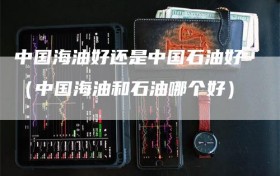 中国海油好还是中国石油好（中国海油和石油哪个好）