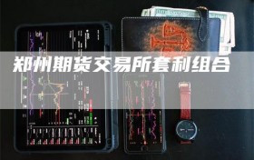 郑州期货交易所套利组合