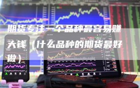 期货专注一个品种最容易赚大钱（什么品种的期货最好做）