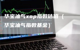 华宝油气xop指数估值（华宝油气指数基金）