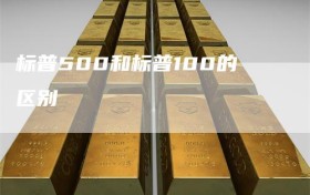 标普500和标普100的区别