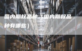 国内期权品种（国内期权品种有哪些）
