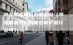 华龙期货股份有限公司（华龙期货股份有限公司宁夏分公司）