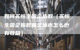 如何买恒生国企指数（买恒生国企指数基金休市怎么也有收益）