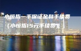 小恒指一手保证金和手续费（小恒指15元手续费）