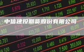 中信建投期货股份有限公司