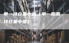 单一持仓集中度（单一股票持仓集中度）