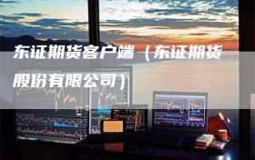 东证期货客户端（东证期货股份有限公司）