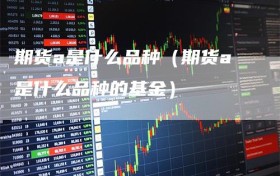 期货a是什么品种（期货a是什么品种的基金）