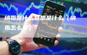 纳指是什么意思是什么（纳指怎么看）