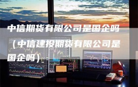 中信期货有限公司是国企吗（中信建投期货有限公司是国企吗）