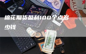 棉花期货盈利100个点多少钱