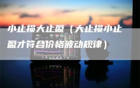 小止损大止盈（大止损小止盈才符合价格波动规律）