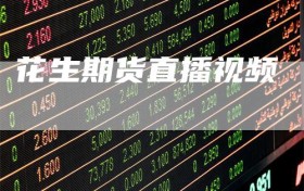 花生期货直播视频