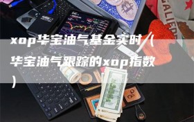 xop华宝油气基金实时（华宝油气跟踪的xop指数）
