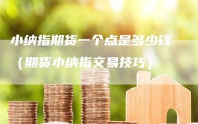小纳指期货一个点是多少钱（期货小纳指交易技巧）