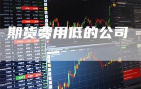 期货费用低的公司