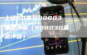 上证50基金110003基金净值（900030基金净值）