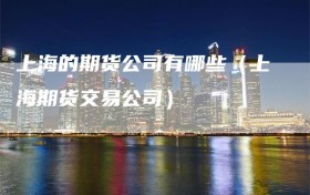 上海的期货公司有哪些（上海期货交易公司）