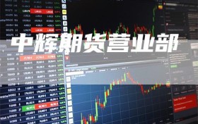 中辉期货营业部