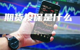 期货投保是什么