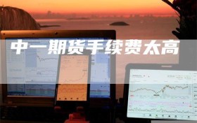 中一期货手续费太高
