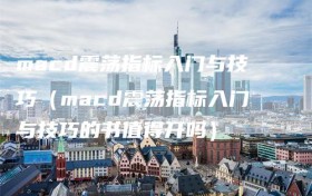 macd震荡指标入门与技巧（macd震荡指标入门与技巧的书值得开吗）