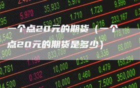 一个点20元的期货（一个点20元的期货是多少）