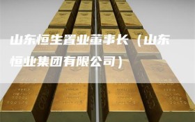 山东恒生置业董事长（山东恒业集团有限公司）