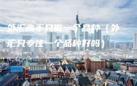 外汇高手只做一个品种（外汇只专注一个品种好吗）