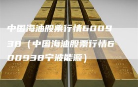 中国海油股票行情600938（中国海油股票行情600938宁波能源）