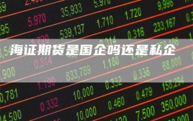海证期货是国企吗还是私企