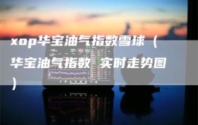 xop华宝油气指数雪球（华宝油气指数 实时走势图）