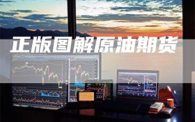 正版图解原油期货