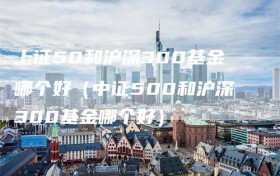 上证50和沪深300基金哪个好（中证500和沪深300基金哪个好）