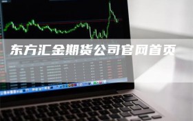 东方汇金期货公司官网首页