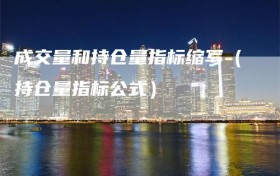 成交量和持仓量指标缩写（持仓量指标公式）