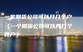 一家期货公司可以开几个户（一个期货公司可以开几个账户）