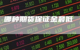 哪种期货保证金最低
