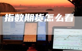 指数期货怎么看