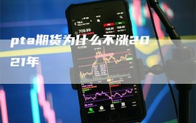 pta期货为什么不涨2021年