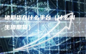 猪期货在什么平台（什么叫生猪期货）