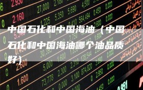 中国石化和中国海油（中国石化和中国海油哪个油品质好）