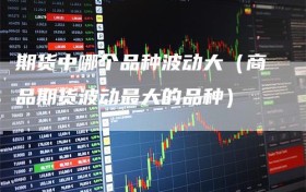 期货中哪个品种波动大（商品期货波动最大的品种）