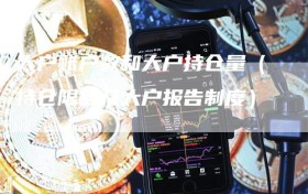 大户账户数和大户持仓量（持仓限额及大户报告制度）