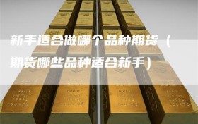 新手适合做哪个品种期货（期货哪些品种适合新手）