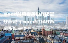 macd背离看黄白线还是红绿柱（macd红绿柱背离指标画线）