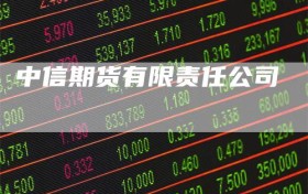 中信期货有限责任公司