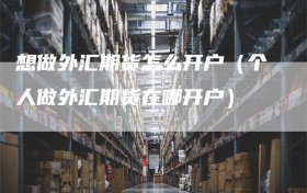 想做外汇期货怎么开户（个人做外汇期货在哪开户）