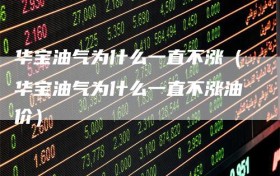 华宝油气为什么一直不涨（华宝油气为什么一直不涨油价）